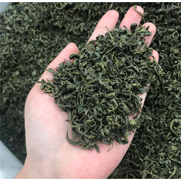 绿茶厂家-峰峰茶业(在线咨询)-绿茶