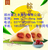 郑州粽子批发零售_喜之丰粮油商贸(在线咨询)_粽子缩略图1