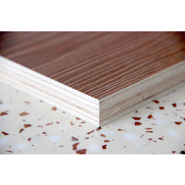 木工板是什么、森骏板材(在线咨询)、保山木工板