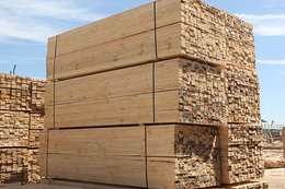 名和沪中木业-辐射松建筑木方-辐射松建筑木方厂家