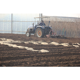 水溶性肥料标准、日照有机肥厂家、沂南水溶性肥料