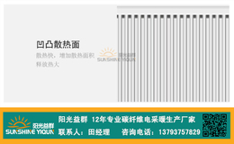 阳光益群-永州碳纤维电暖器-壁挂式碳纤维电暖器