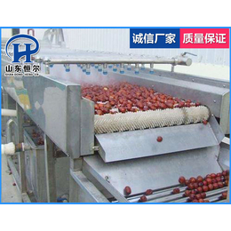 上海蓝莓清洗流水线,山东恒尔,蓝莓清洗流水线厂家