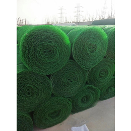 同昇工程材料(图)-郴州护坡植被网价格-植被网