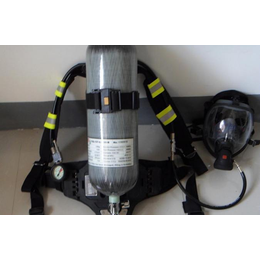 梅思安 空气呼吸器全性能检测仪落地式台式