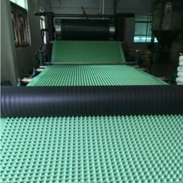广州湛江卷材排水板 疏水板 塑料夹层板 凹凸排水板厂家供货缩略图