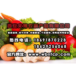 蔬菜配送批发价格-蔬菜配送-文博蔬菜配送(查看)