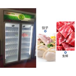吴忠低温冷冻柜、达硕厨业(在线咨询)、低温冷冻柜生产商