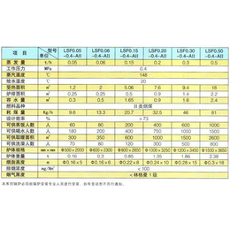 怒江蒸汽锅炉、蓝山锅炉(在线咨询)、蒸汽锅炉厂家定做