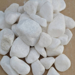 海城机制鹅卵石厂 白色鹅卵石 公园装饰用白色卵石