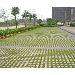 六角型植草砖,合肥植草砖,合肥万裕久建材