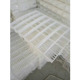 塑料漏粪板规格、淮北塑料漏粪板、和协饲料机械