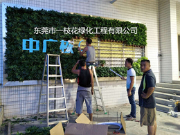 福建建筑植物墙-一枝花绿化工程公司-建筑植物墙养护