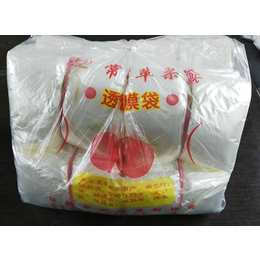 塑膜苹果袋,莒县常兴塑膜,塑膜苹果袋生产厂家