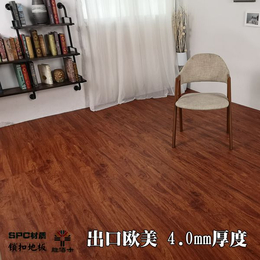 广东SPC地板厂家 广州石塑地板 广州胜佰木