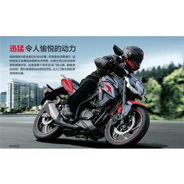 摩托车-大地恒通(图)-铃木豪爵125踏板摩托车