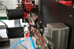 影像筛选机生产厂家-影像筛选机-光学分拣机设备，林洋(图)