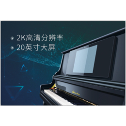 广州英皇钢琴考级、钢琴玩家智能钢琴、英皇钢琴考级介绍