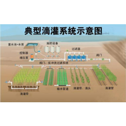 灌溉-广西宏振滴灌-玉林灌溉