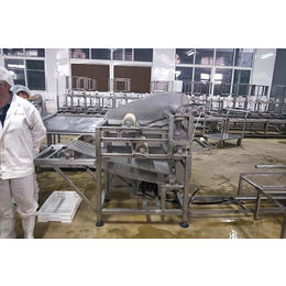 豆干机|震星豆制品机械设备|小型豆干机