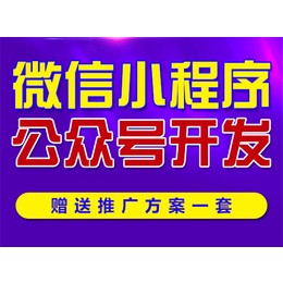 杭州微信小程序开发、全网销网络、微信小程序开发电话