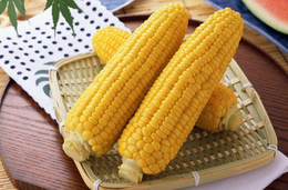大量求购玉米和小麦-陇南求购玉米-汉光现代农业有限公司