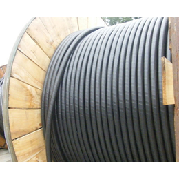 浙江电力电缆-绿宝电缆（集团）(在线咨询)-耐高温电力电缆