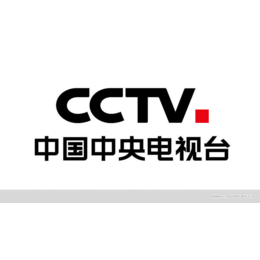 CCTV广告多少钱一个月