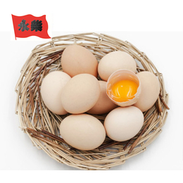 黑龙江散养土鸡蛋、散养土鸡蛋、永柴养殖散养土鸡蛋