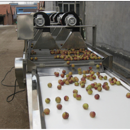 水果除水风干机哪个牌子好,安徽水果除水风干机,诸城洗刷刷机械