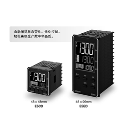 E5CD-RX2ADM-800欧姆龙温控器