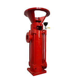 消防增压泵厂家*|湖州消防增压泵|正济泵业行业先锋(查看)