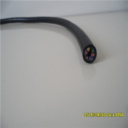 双护套柔性耐油电缆 PVC PUR缩略图