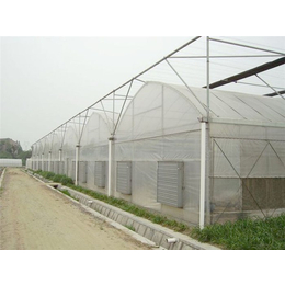 青州瀚洋农业(多图)-新型蔬菜温室-蔬菜温室