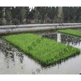 生态浮岛水生植物,滁州生态浮岛,华州环境工程有限公司