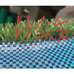 人造草坪公司-巨东化纤(在线咨询)-舒兰人造草坪