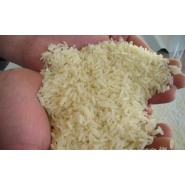 绿色生态养殖场家_回收过期大米多少钱_赤坎区回收过期大米