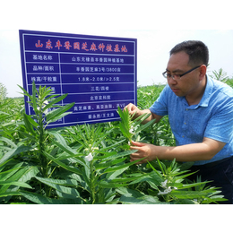 芝麻酱生产企业|芝麻酱|丰香园芝麻食品(查看)