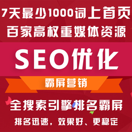 SEO优化 网站推广 快速霸占百度首页 全网营销推广