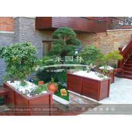 别墅庭院设计|杭州一禾园林景观工程|江苏别墅庭院