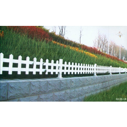 小区塑钢草坪栅栏|林芝栅栏|山东塑钢护栏(查看)