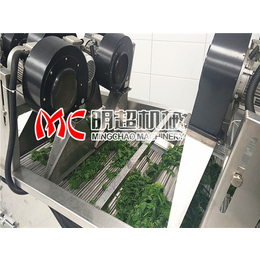 小型果蔬清洗生产线流程|明超机械