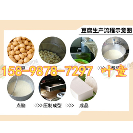四川广元豆腐机品牌 豆腐机器全自动 包浆豆腐机器