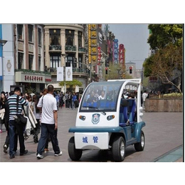 电动巡逻车-朗晴服务好-全封闭电动巡逻车