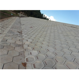 水泥六角砖-古马山水泥制品质量好-六角水泥护坡砖