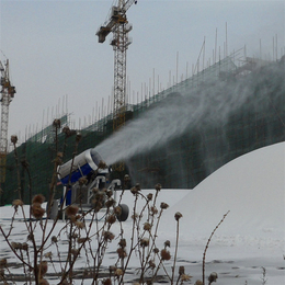  人工造雪机质量有保障  山东造雪机厂家
