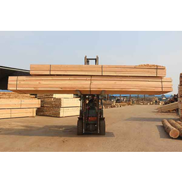 出售樟子松建筑木材|辰丰木材|建筑木材