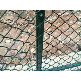 河北华久(图),足球场围栏生产,宁夏足球场围栏