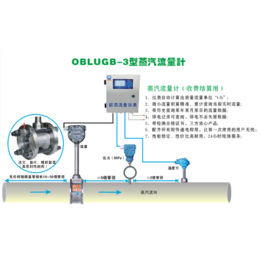 欧百仪表科技有限公司(图)_蒸汽表报价_七台河蒸汽表