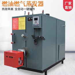 贵州蒸汽发生器-安徽尚亿锅炉-燃气蒸汽发生器